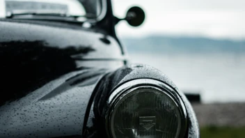 moggy-L006 moggy-L006